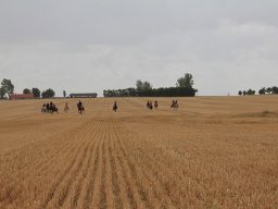 IMG_7102-026